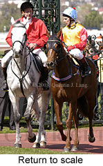 Return to scale (14600 bytes)