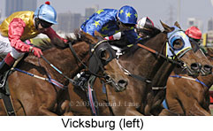 Vicksburg (16555 bytes)