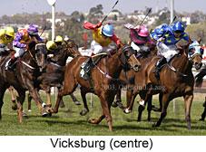 Vicksburg (16555 bytes)