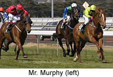 Mr Murphy (16542 bytes)