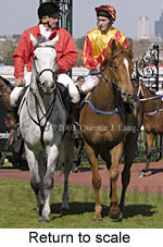 Return to scale (14600 bytes)