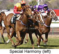 Special Harmony (16555 bytes)