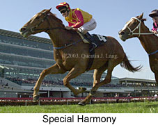 Special Harmony (16555 bytes)