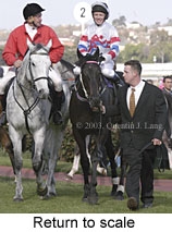 Return to scale (14418 bytes)