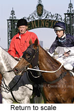 Return to scale (15354 bytes)