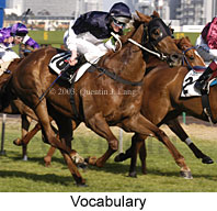 Vocabulary (18582 bytes)