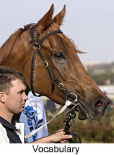 Vocabulary (13424 bytes)