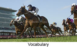 Vocabulary (14826 bytes)