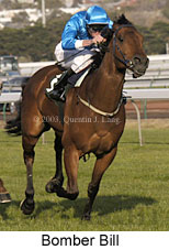 Bomber Bill (14661 bytes)