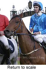 Return to scale (13823 bytes)