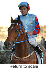 Return to scale (16571 bytes)