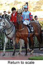 Return to scale (16571 bytes)