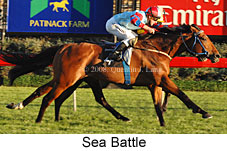 Sea Battle (17710 bytes)