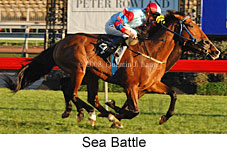 Sea Battle (17710 bytes)