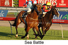 Sea Battle (17710 bytes)