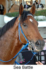 Sea Battle (17710 bytes)