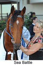 Sea Battle (17710 bytes)