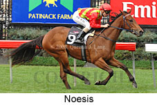 Noesis (17710 bytes)