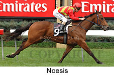 Noesis (17710 bytes)