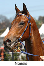 Noesis (17710 bytes)