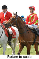 Return to scale (16571 bytes)