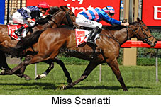 Miss Scarlatti (17710 bytes)