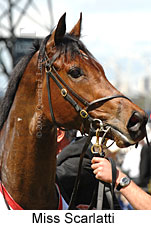 Miss Scarlatti (17710 bytes)