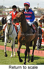 Return to scale (16571 bytes)