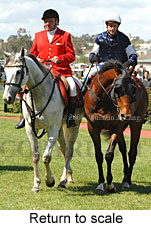 Return to scale (16571 bytes)