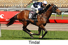 Tindal (17710 bytes)