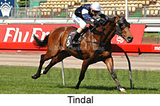 Tindal (17710 bytes)