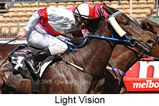 Light Vision (17710 bytes)