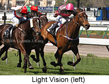 Light Vision (17710 bytes)