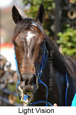 Light Vision (17710 bytes)