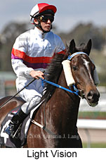 Light Vision (17710 bytes)