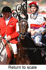 Return to scale (16571 bytes)