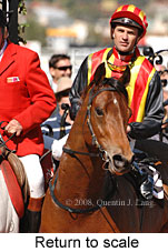 Return to scale (16571 bytes)