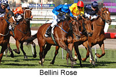 Bellini Rose (17710 bytes)