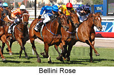 Bellini Rose (17710 bytes)