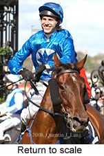 Return to scale (16571 bytes)