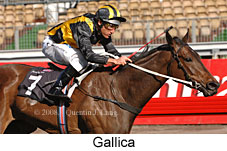 Gallica (17710 bytes)