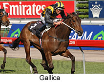 Gallica (17710 bytes)