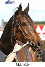 Gallica (17710 bytes)