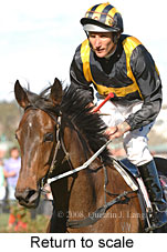 Return to scale (16571 bytes)