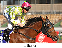 Littorio (17076 bytes)