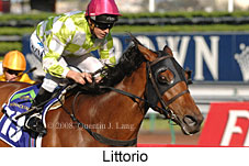 Littorio (17710 bytes)