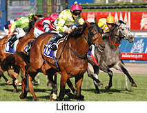 Littorio (17710 bytes)