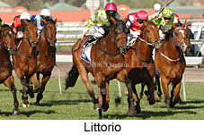 Littorio (17710 bytes)