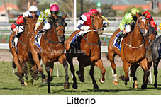 Littorio (17710 bytes)