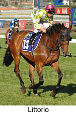 Littorio (17710 bytes)